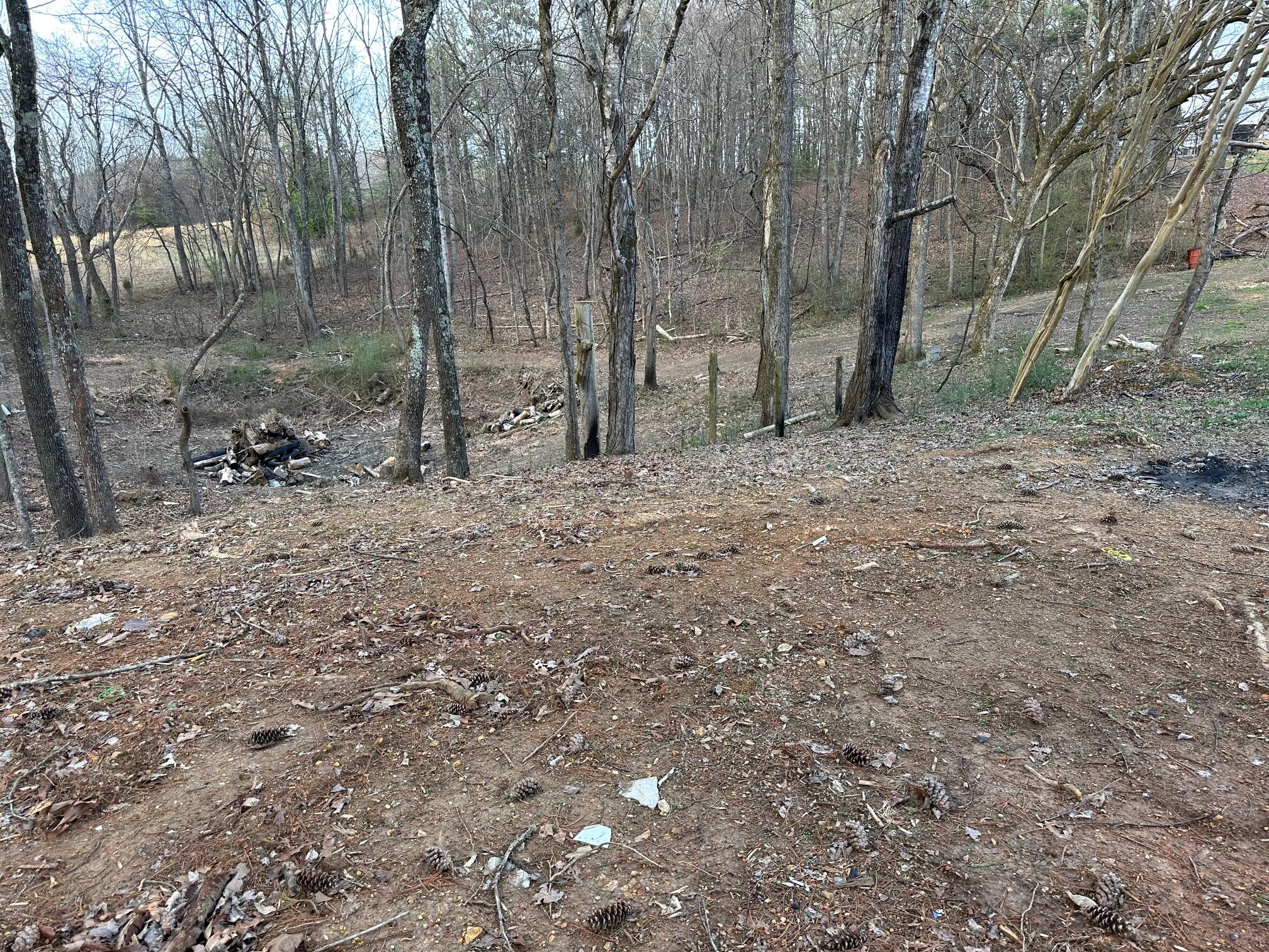 1285 Dyer Road Evensville, TN 37332 - Photo 24 of 24 IMG_5395