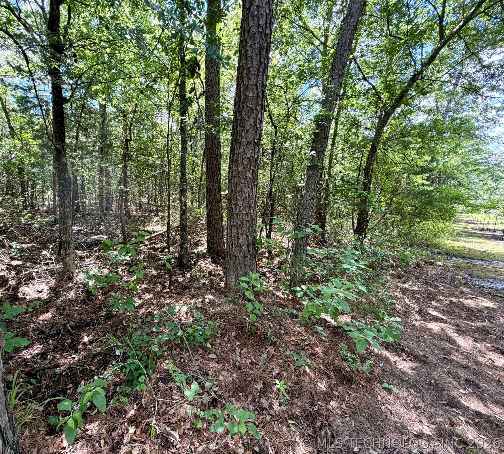 430797 East 1950 Road Rattan, OK 74562 - Photo 38 of 44 Gallery Image 38