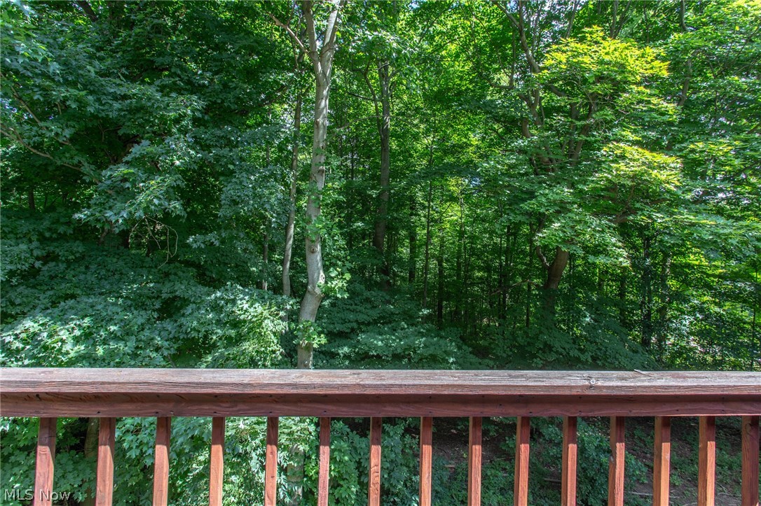 12427 Sperry Road Chesterland, OH 44026 - Photo 22 of 35 Lush greenery everywhere!