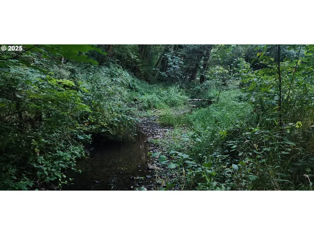 a view of a back yard