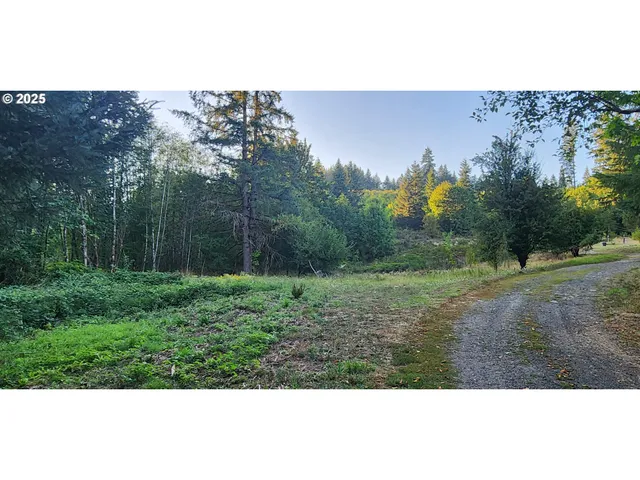 a view of an outdoor space and a yard
