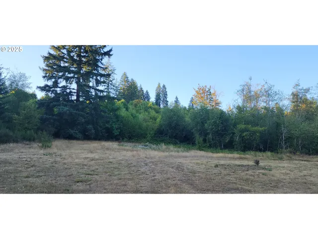 a view of outdoor space with trees all around