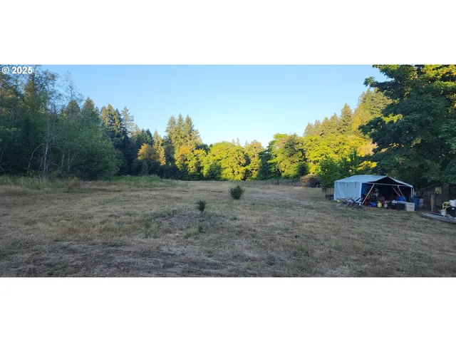 a view of an outdoor space and a yard
