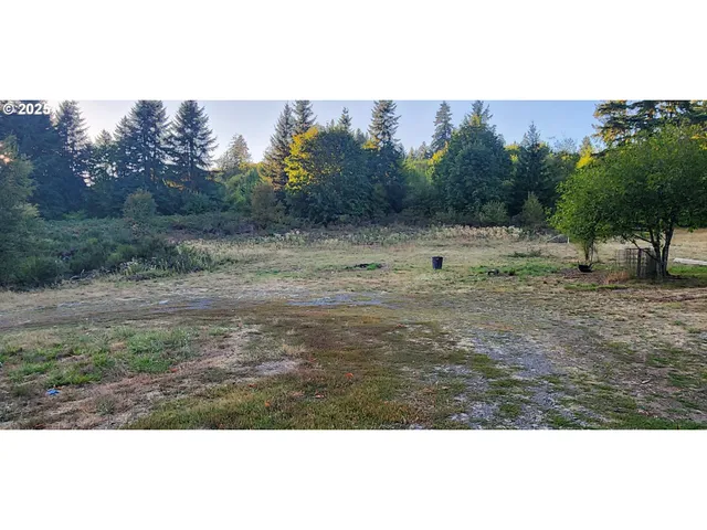 a view of outdoor space with green space