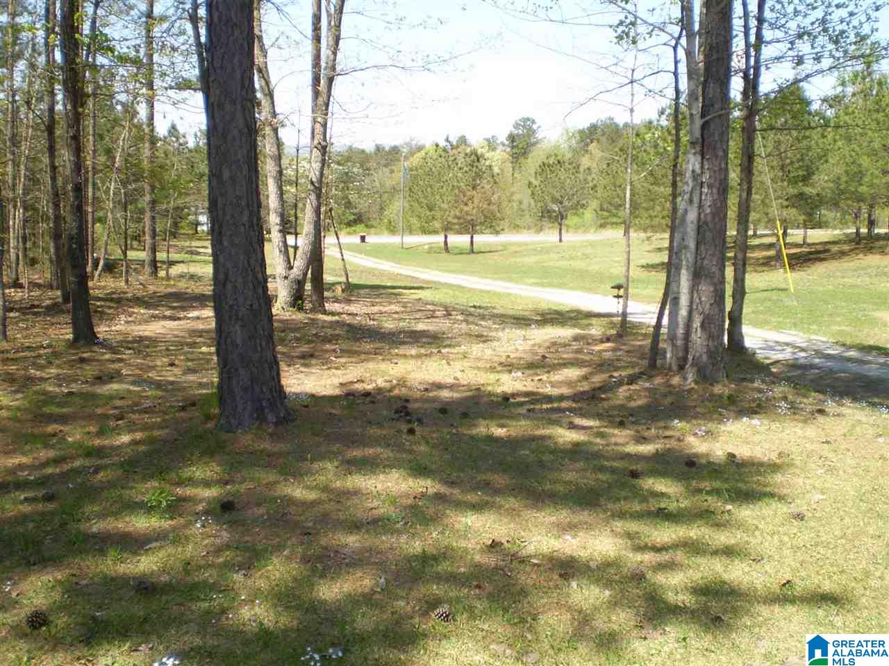 164 Rock Crest Road Odenville, AL 35120 - Photo 3 of 50