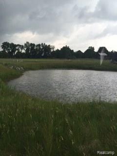 95 North Five Lakes Road Lapeer, MI 48446 - Photo 5 of 67 IMG_8144.JPG