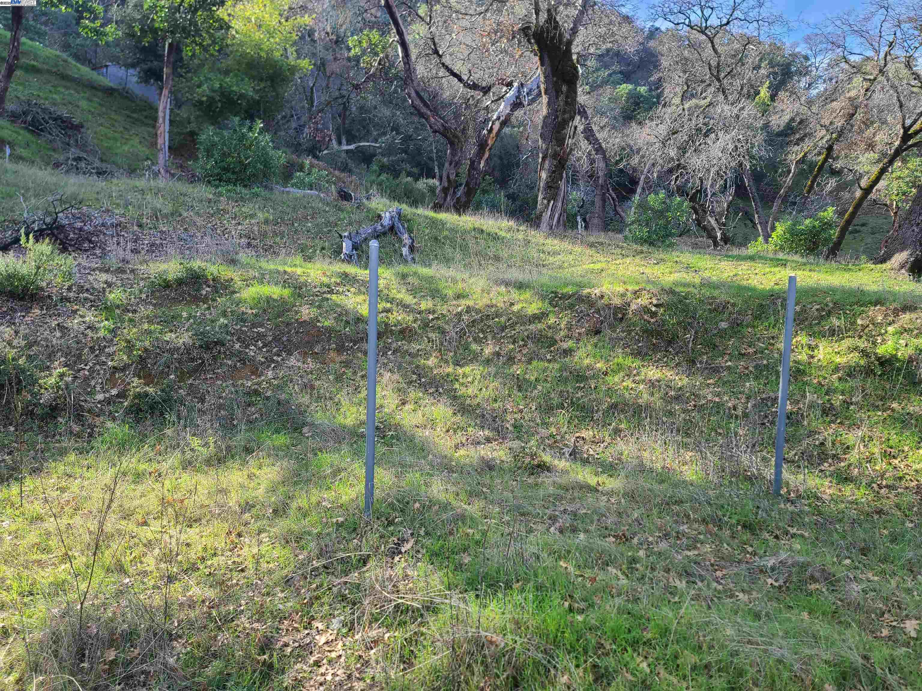 116 Ridgecrest Drive Napa, CA 94558 - Photo 12 of 53 a backyard of a house with lots of green space