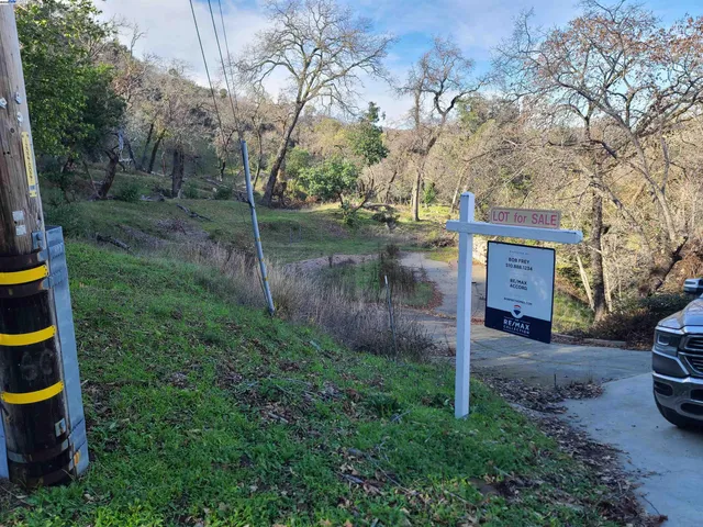 a view of a yard with large trees