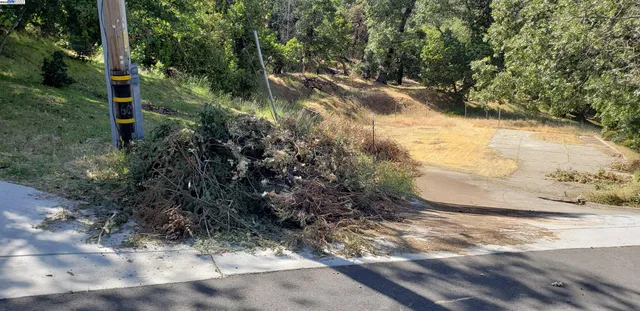 a view of a road with a trees