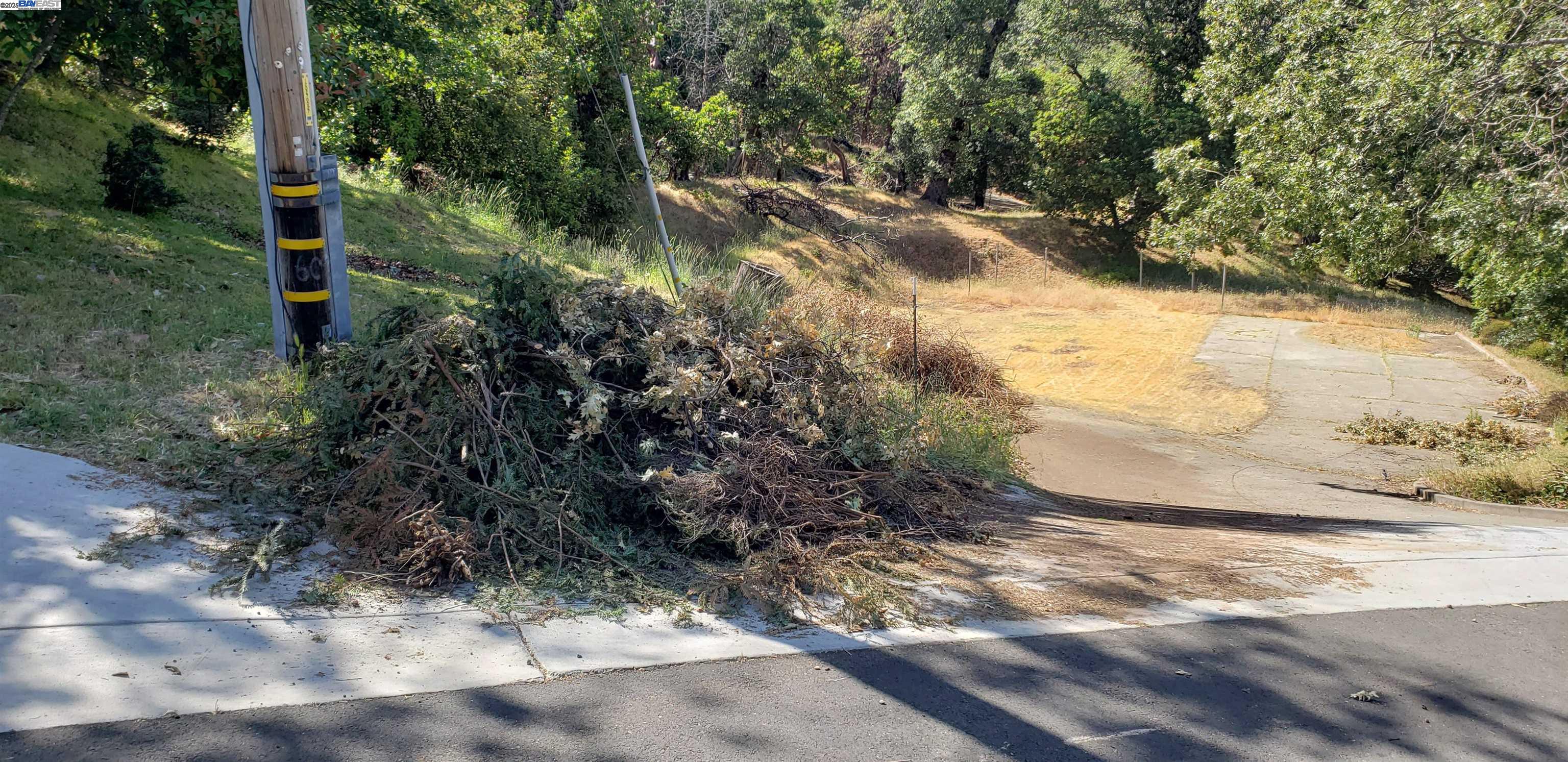 116 Ridgecrest Drive Napa, CA 94558 - Photo 15 of 53 a view of a yard with large trees