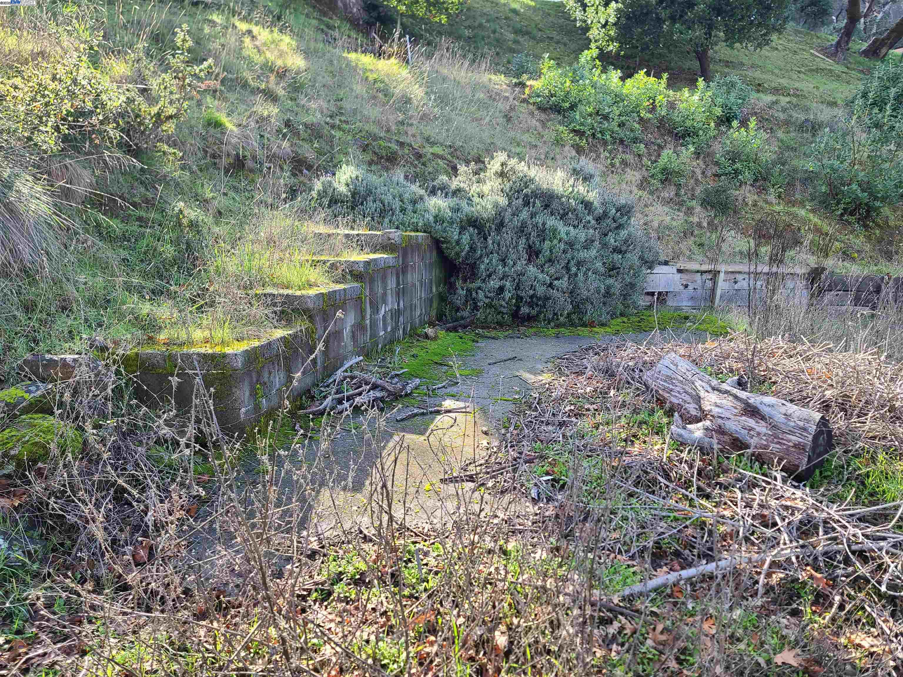 116 Ridgecrest Drive Napa, CA 94558 - Photo 19 of 53 a backyard of a house with lots of green space
