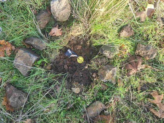 a view of a house with a lush green forest