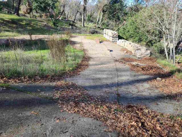a view of a yard next to a road