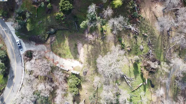 a view of a yard with a tree