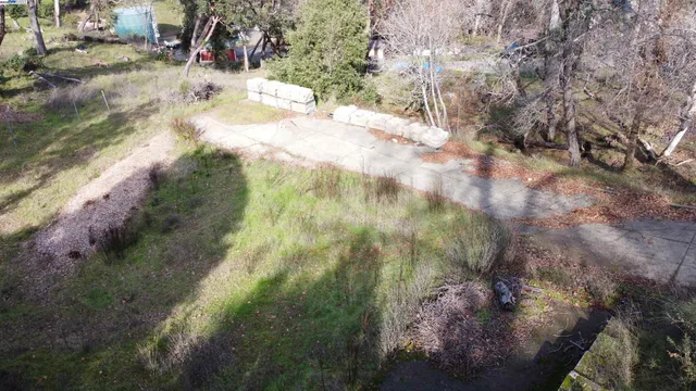 a view of a forest with a house
