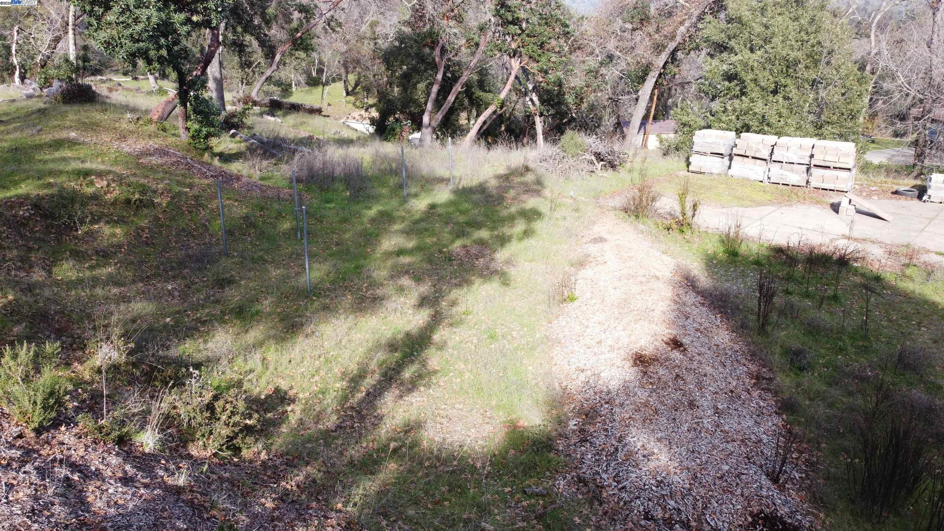 116 Ridgecrest Drive Napa, CA 94558 - Photo 46 of 53 a view of a yard with a tree