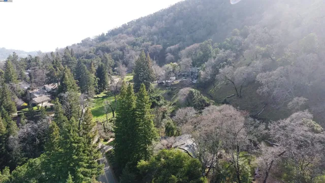 a view of a dry yard