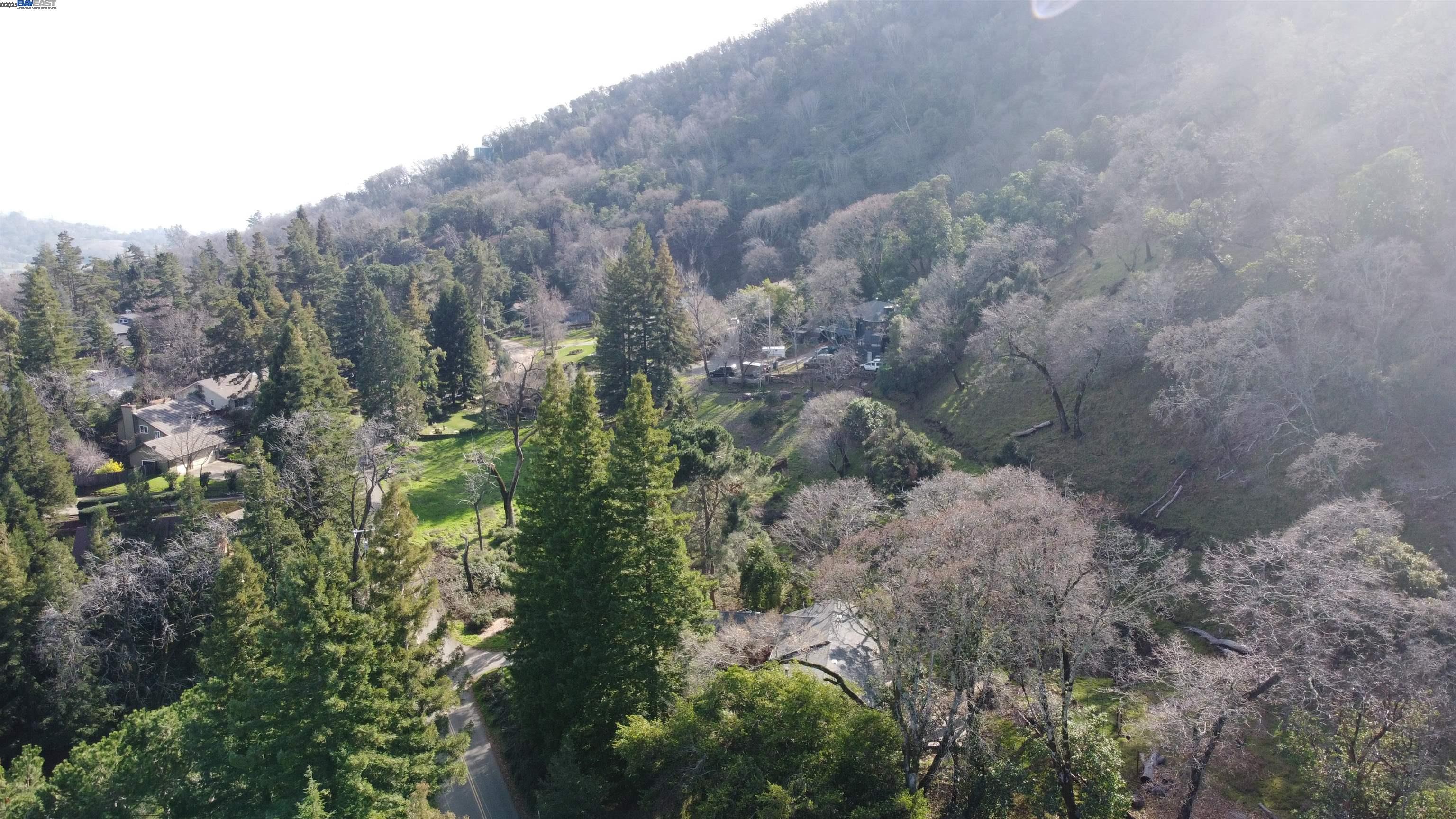 116 Ridgecrest Drive Napa, CA 94558 - Photo 48 of 53 a view of a forest with a house