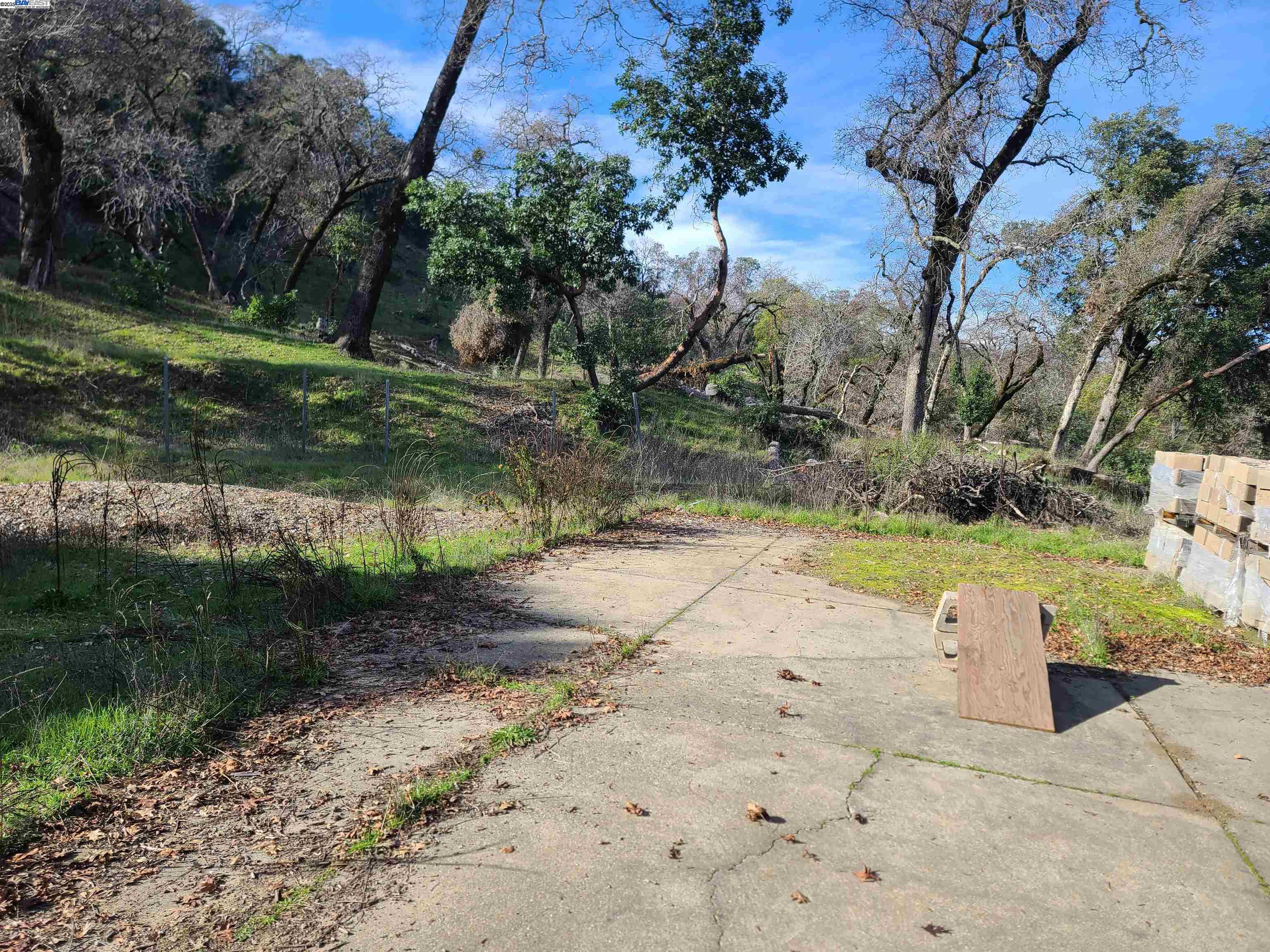 116 Ridgecrest Drive Napa, CA 94558 - Photo 5 of 53 a view of a yard with plants and large trees