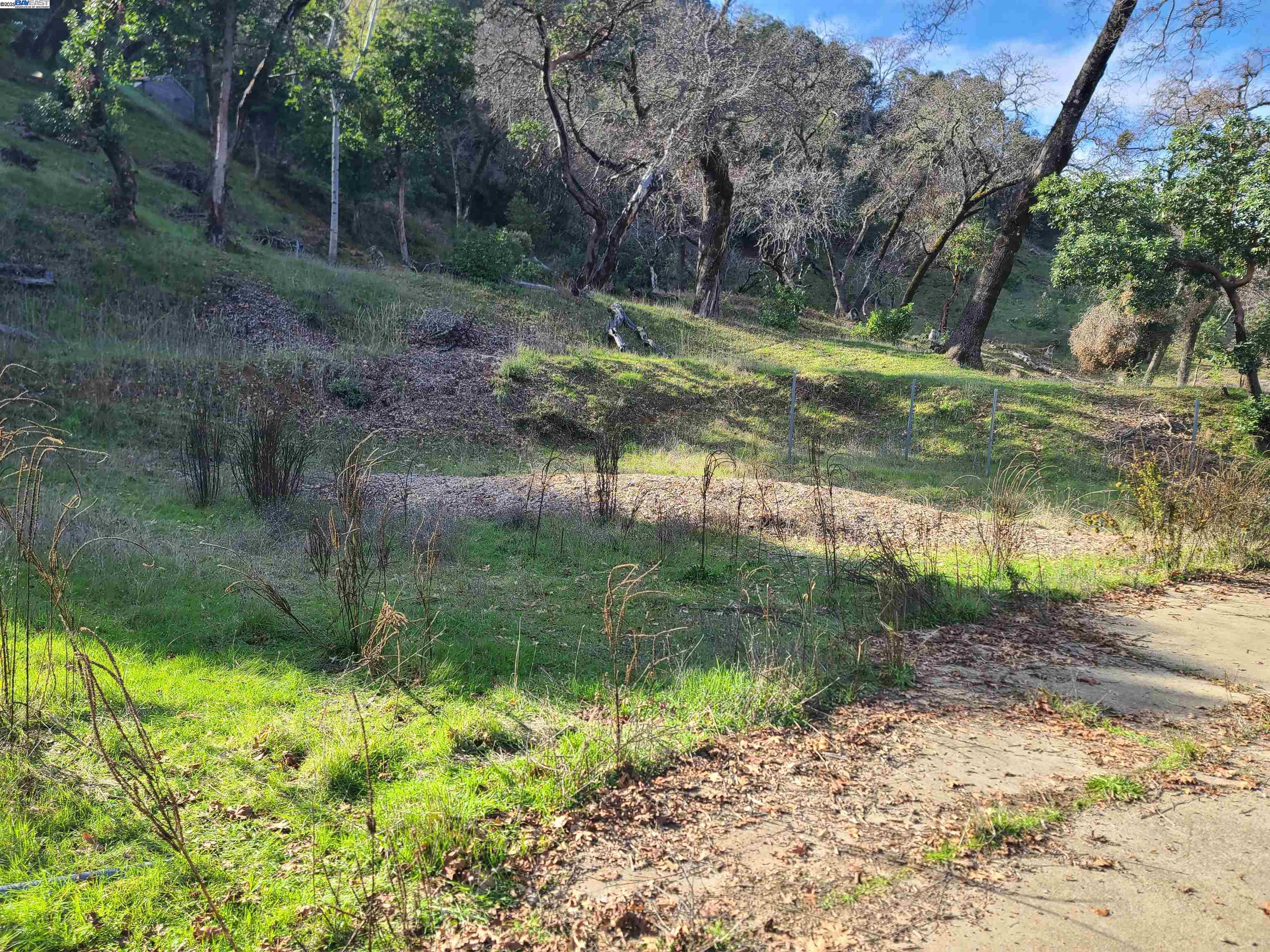 116 Ridgecrest Drive Napa, CA 94558 - Photo 6 of 53 a backyard of a house with lots of green space