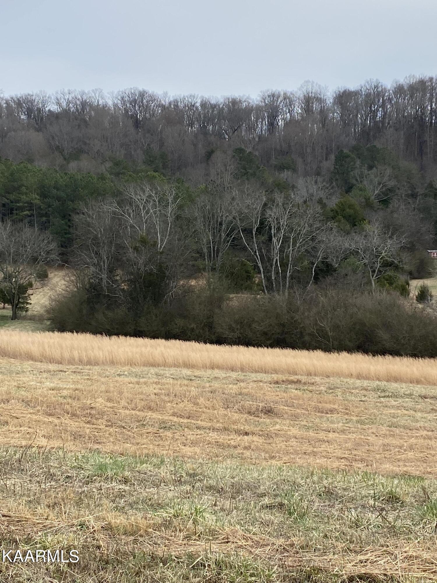 430 Ranch Road Loudon, TN 37774 - Photo 1 of 7 Gallery Image 1