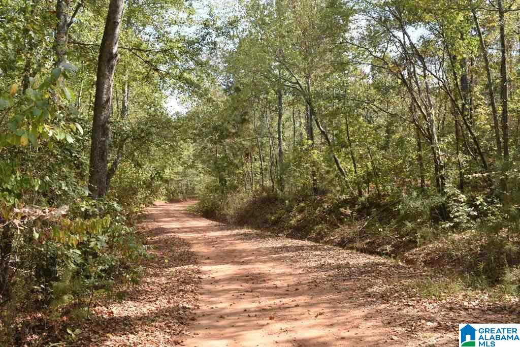 249 County Road, Unit 23 05 Wedowee, AL 36278 - Photo 1 of 4 Gallery Image 1