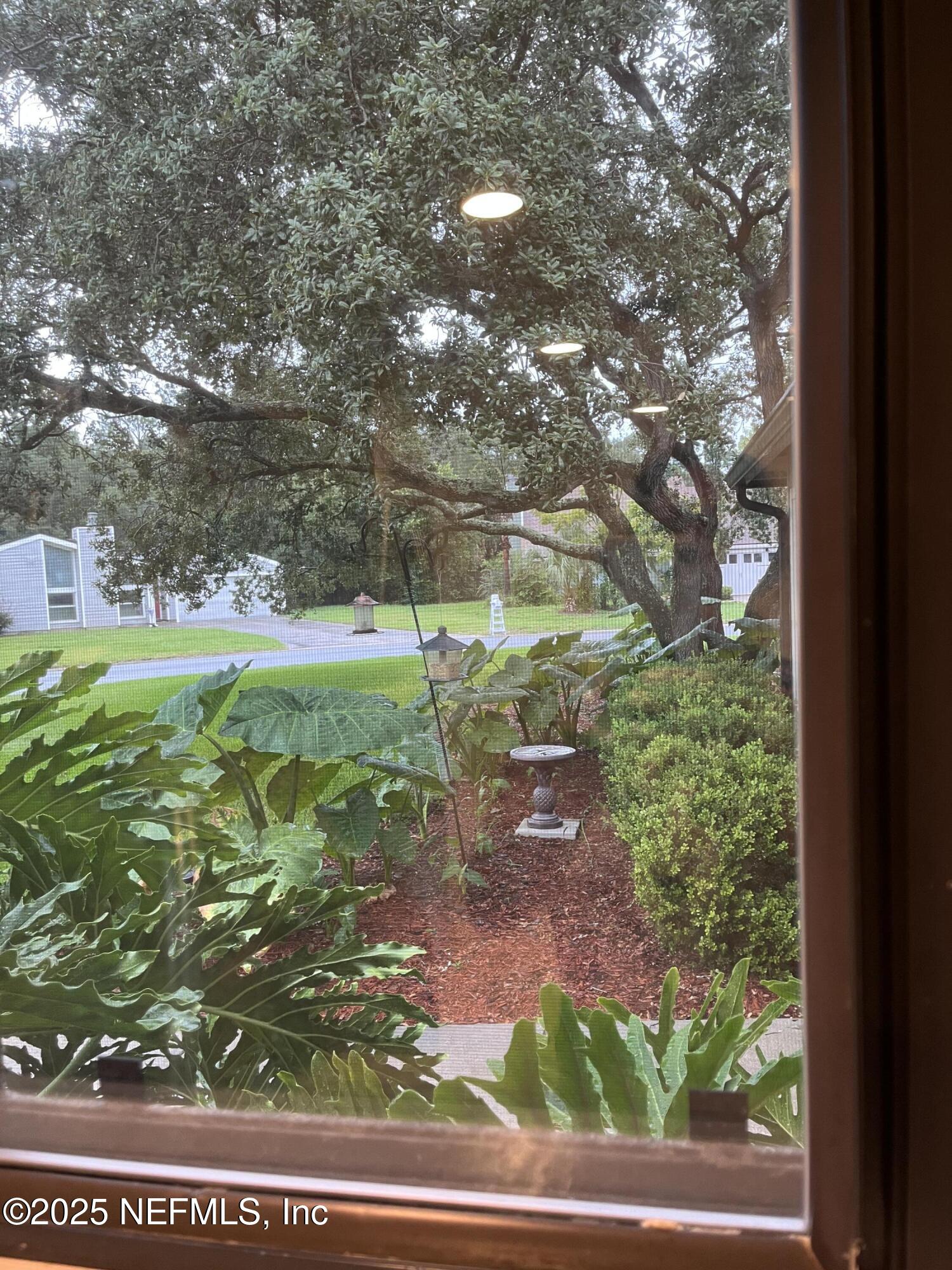 1809 Kings Way Neptune Beach, FL 32266 - Photo 14 of 28 a backyard of a house with lots of green space