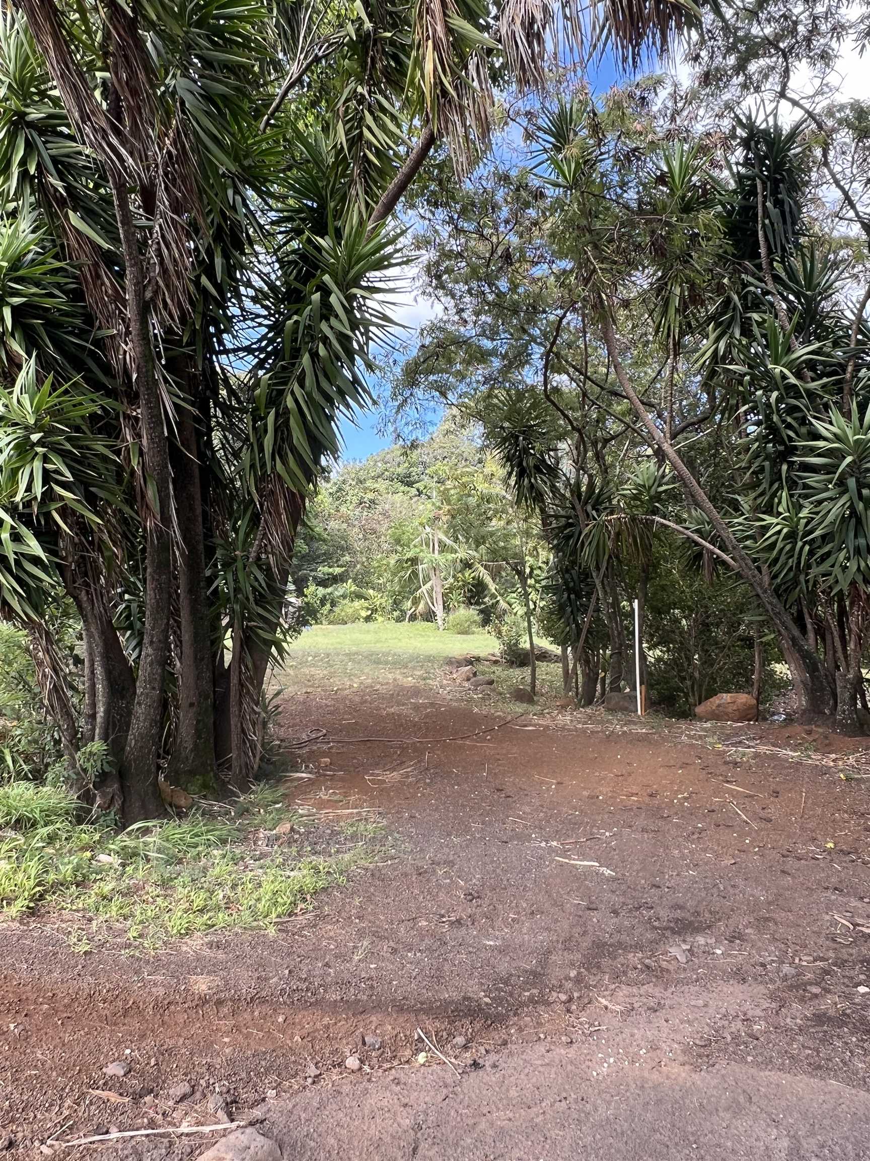 50 Pauwela Road, Unit A Haiku, HI 96708 - Photo 4 of 8 a view of a yard with a tree