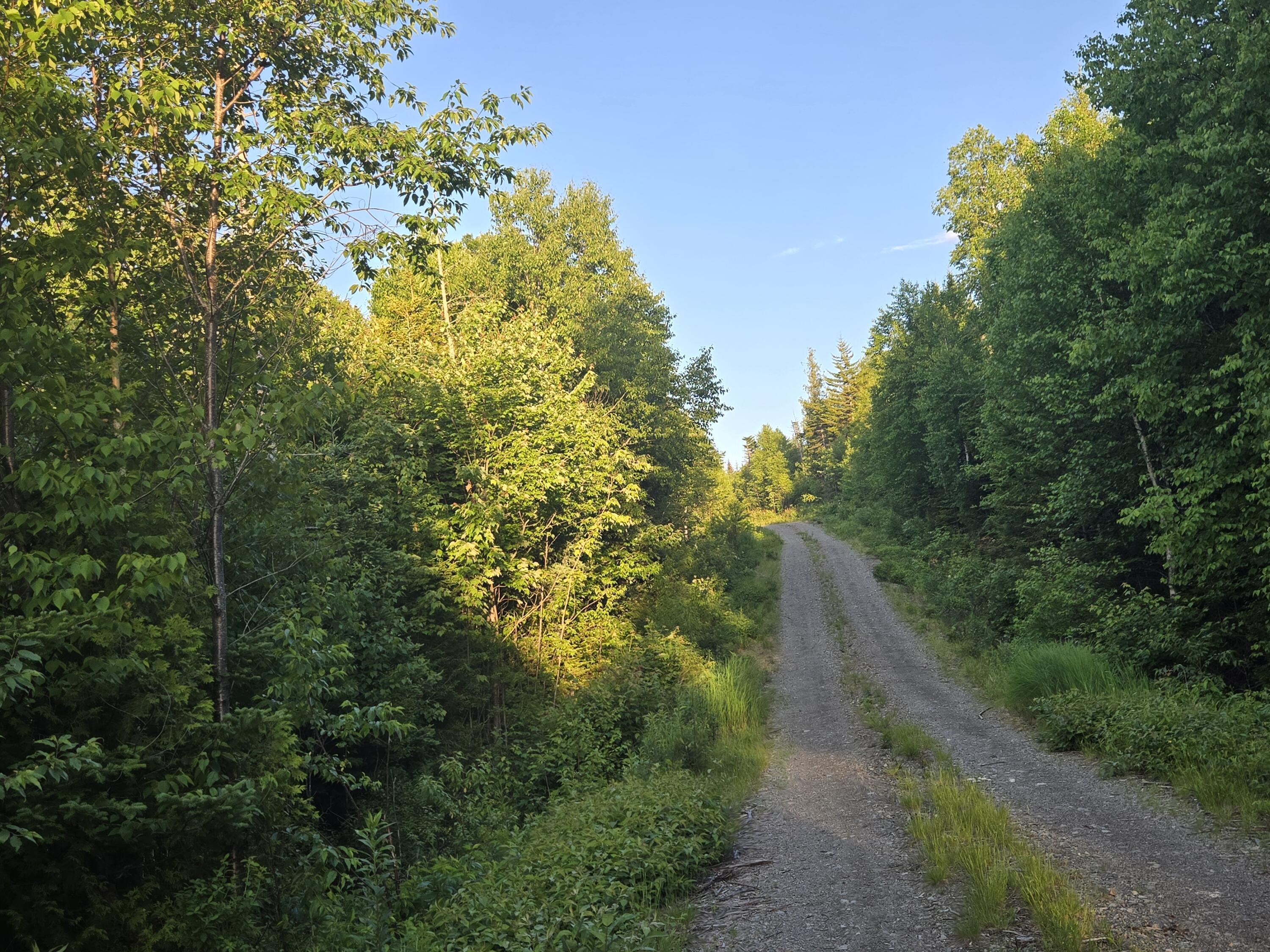 27 B6/17/24 Dixie Road Lubec, ME 04652 - Photo 11 of 15 20260624_192648