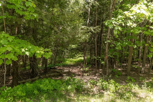 $725,000 | 1243 North Hollow Road, Stowe, VT 05672