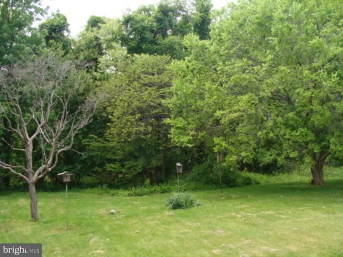 2802 Ridge Road Huntingtown, MD 20639 - Photo 2 of 16 Back yard