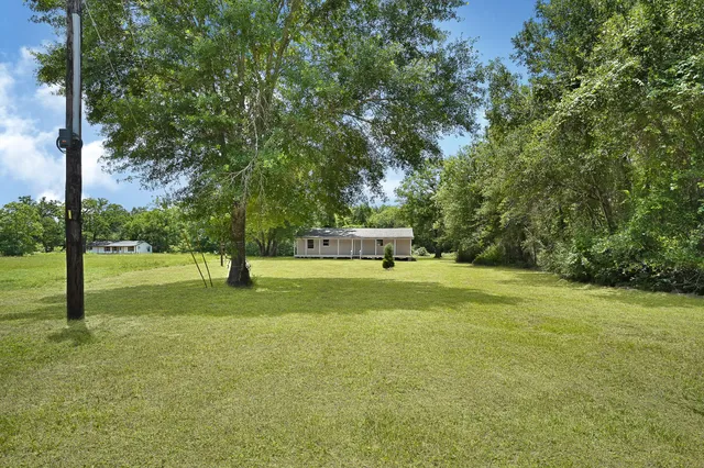 a view of a field with an trees