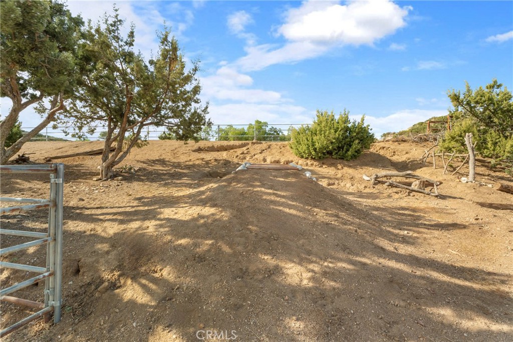 6535 Juniper Crest Road Agua Dulce, CA 91390 - Photo 69 of 70
