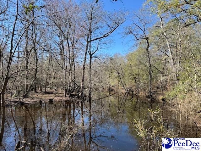 Tbd Paper Mill Road Florence, SC 29505 - Photo 20 of 28 Gallery Image 20