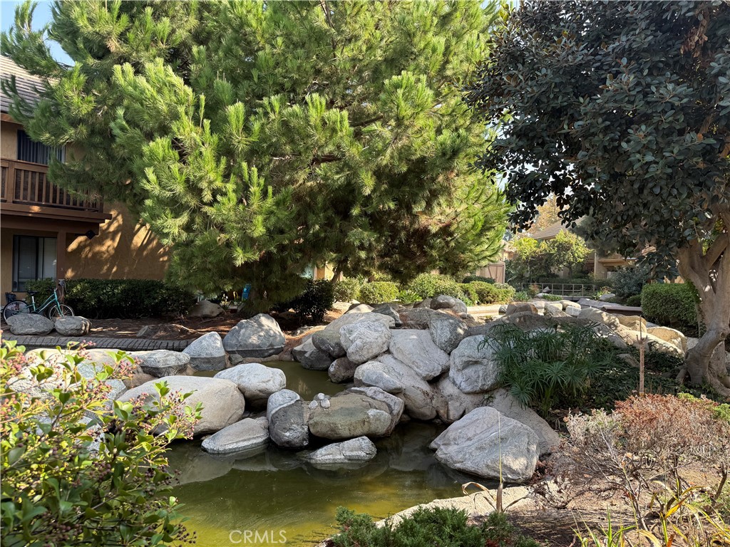 a view of swimming pool with lawn chairs and plants