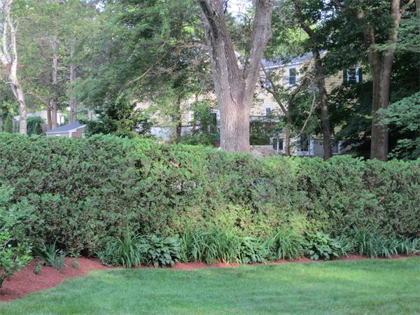 16 Lakeview Road Wayland, MA 01778 - Photo 25 of 26 Gallery Image 25