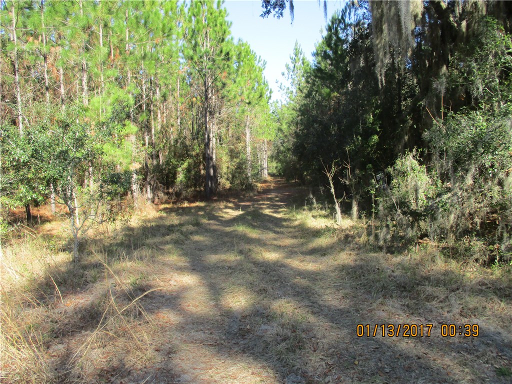 Hallman Road Hilliard, FL 32046 - Photo 1 of 9 Gallery Image 1