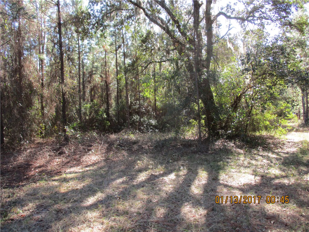 Hallman Road Hilliard, FL 32046 - Photo 5 of 9 Gallery Image 5