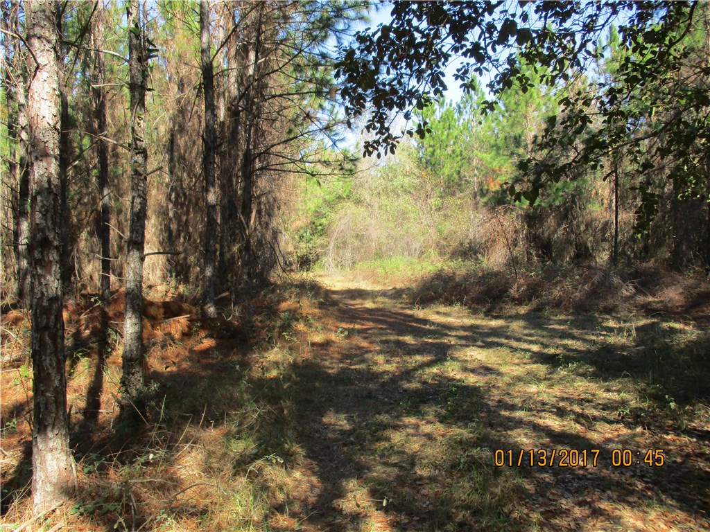 Hallman Road Hilliard, FL 32046 - Photo 6 of 9 Gallery Image 6