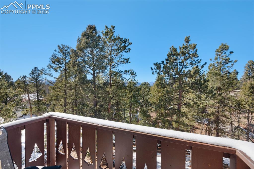 1276 Pinewood Road Florissant, CO 80816 - Photo 25 of 31