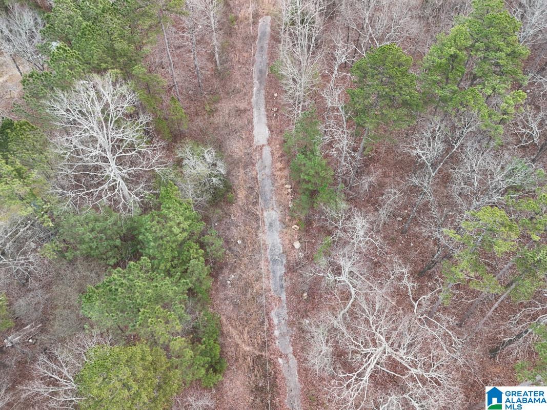 130 Evergreen Drive Springville, AL 35146 - Photo 4 of 20