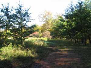0 County Road, Unit LOT 2 Long Bottom, OH 45743 - Photo 4 of 7