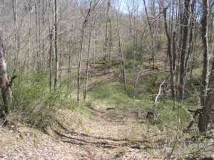 0 County Road, Unit LOT 2 Long Bottom, OH 45743 - Photo 5 of 7