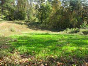 0 County Road, Unit LOT 2 Long Bottom, OH 45743 - Photo 6 of 7