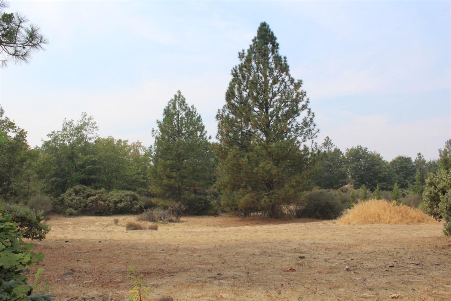 5532 Rockydale Road Cave Junction, OR 97523 - Photo 11 of 19 Additional Photo