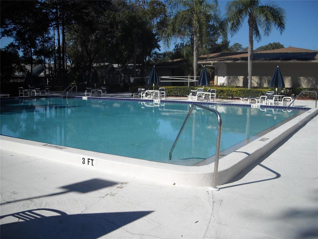 2375 Fox Chase Boulevard, Unit 260 Palm Harbor, FL 34683 - Photo 21 of 38 a view of swimming pool with a yard
