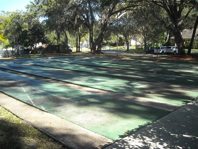 a view of a street with large trees