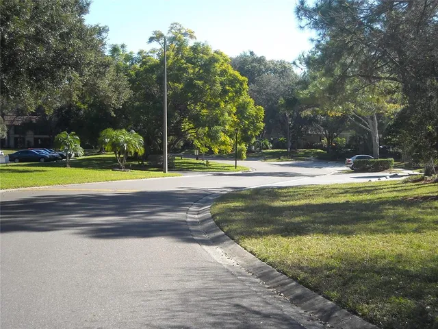 a view of a park with large trees