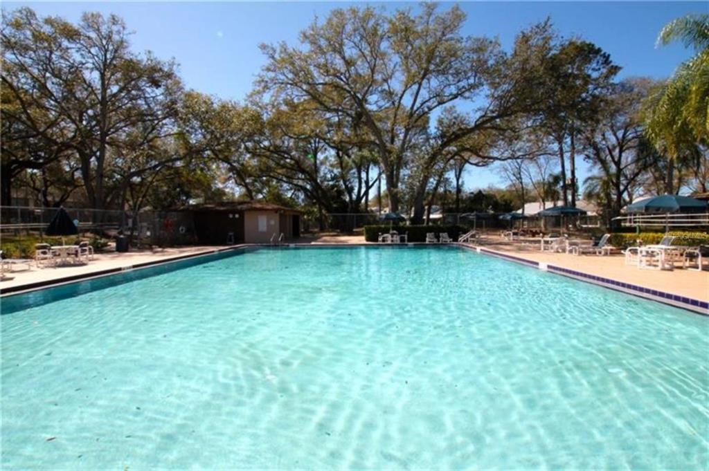 2375 Fox Chase Boulevard, Unit 260 Palm Harbor, FL 34683 - Photo 33 of 38 a view of a park with large trees