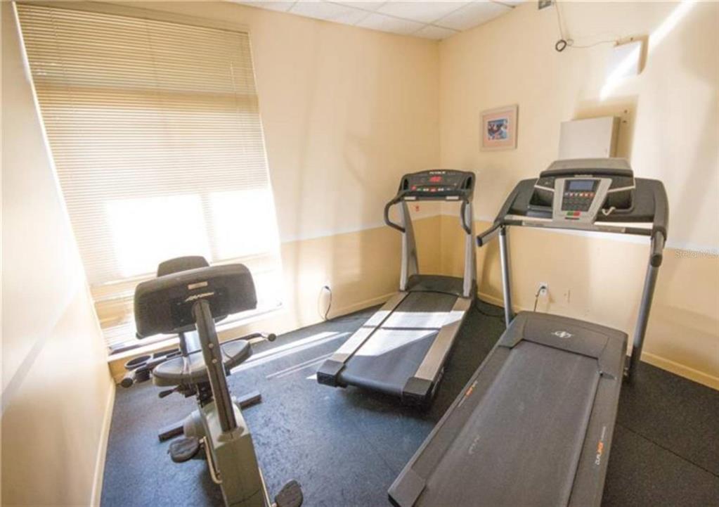 2375 Fox Chase Boulevard, Unit 260 Palm Harbor, FL 34683 - Photo 36 of 38 a view of a room with gym equipment